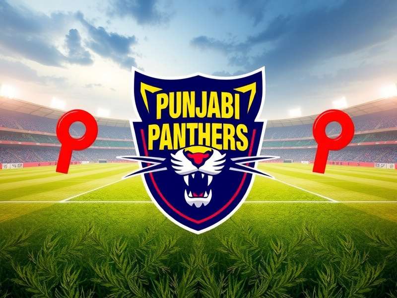Punjabi Panthers FC Game Cover